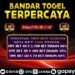 Agen Togel Ovo Online Terpercaya